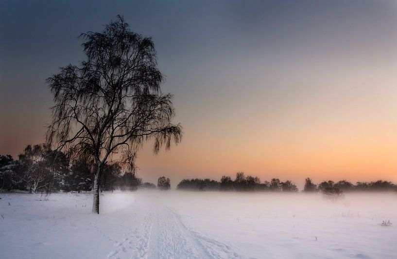 Winter in Limburg von Eus Driessen