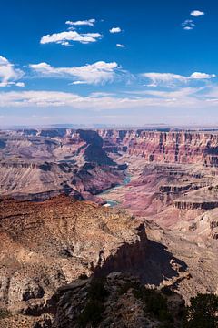 Uitzicht op de Colorado River in de Grand Canyon van Anouschka Hendriks