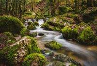 Dreamy stream in fairytale forest 3, long exposure | Vosges, France