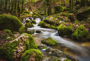 Ruisseau de rêve dans une forêt de conte de fées 3, exposition longue | Vosges, France