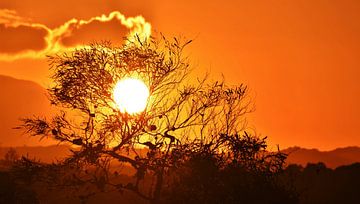 Afrikaanse zonsondergang van Werner Lehmann