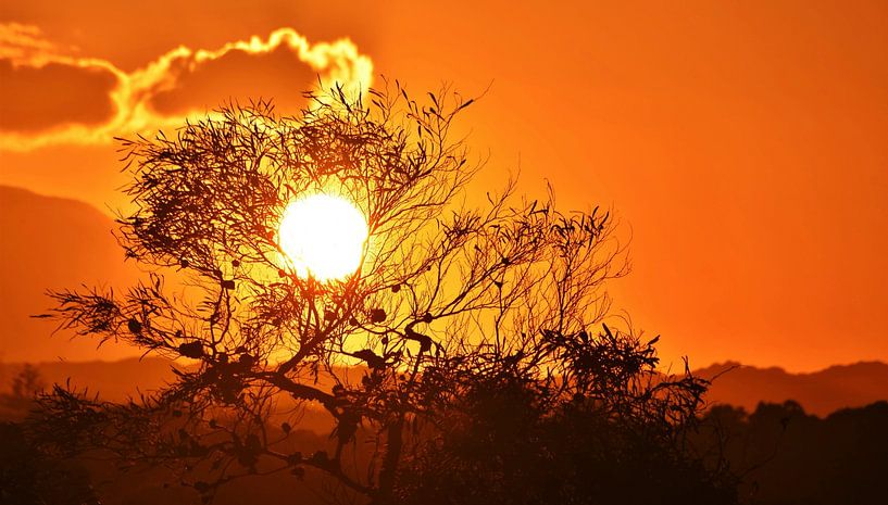 Coucher de soleil africain par Werner Lehmann