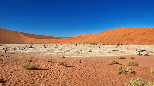 Le Deadvlei en Namibie