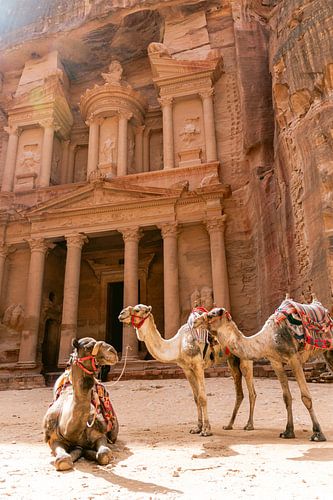 The Treasury of Petra - Jordan