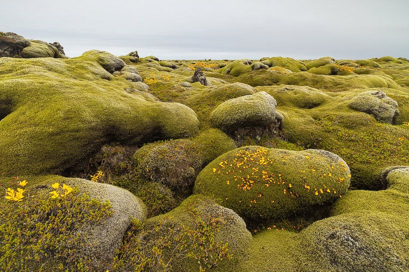 Bemoste lavavelden (IJsland) van Marcel Kerdijk