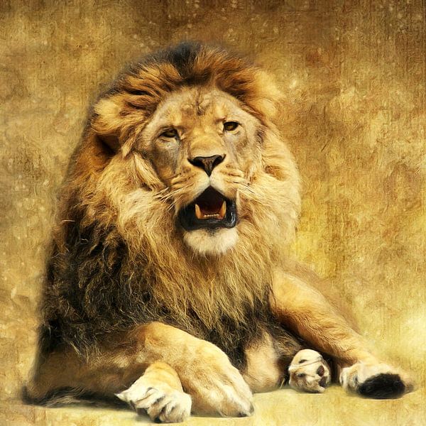 The King von AD DESIGN Photo & PhotoArt