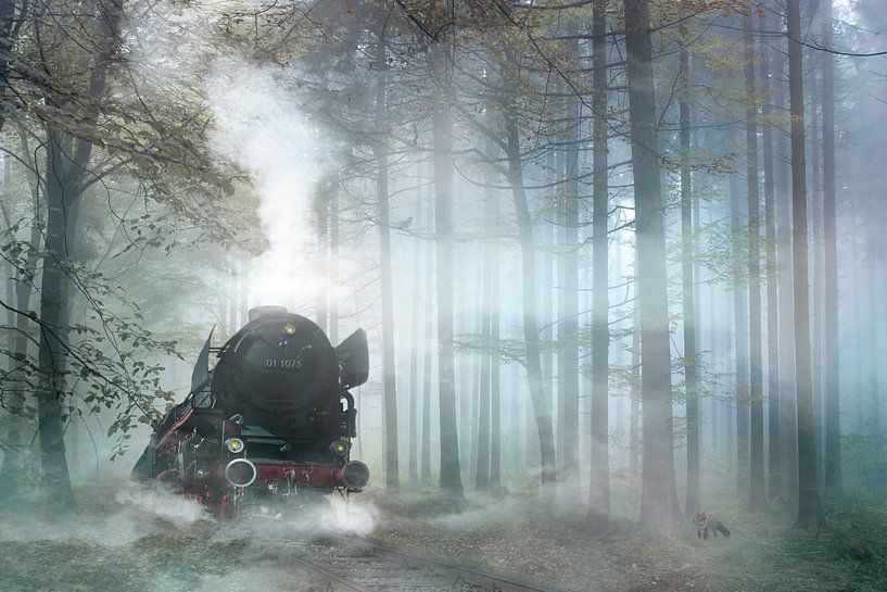 Steam train by Jeannette Penris