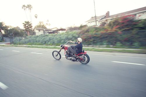 Chase Stopnik - Cycle Zombies