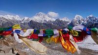 Gebedsvlaggen met Everest panorama