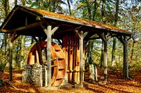A view of a watermill in the forest