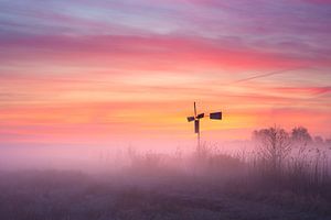 Een magische zonsopkomst in De Wieden van Wilko Visscher