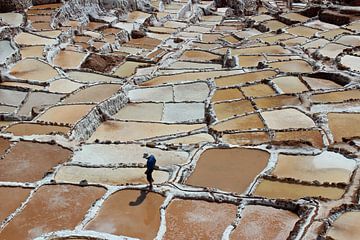 Marais salés de Maras