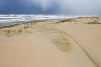 Young dune on beach with dark hail sky