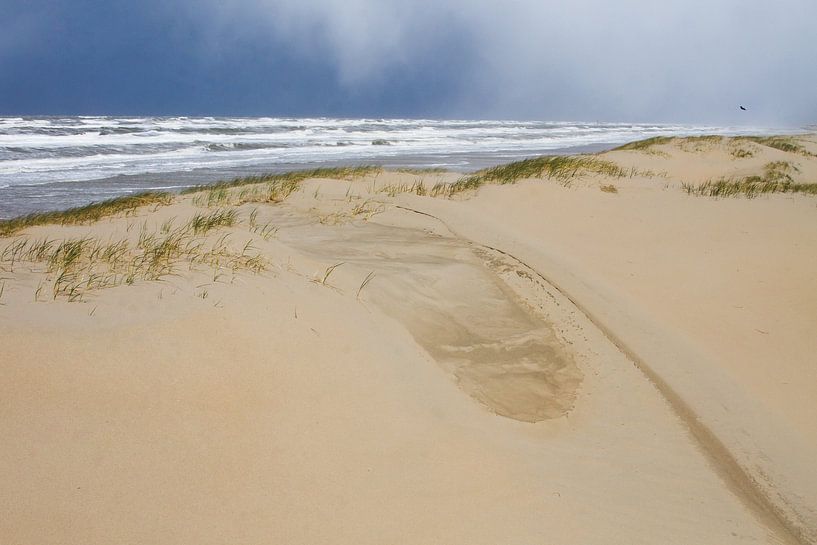 Junge Düne am Strand mit dunklem Hagel Himmel von Menno van Duijn