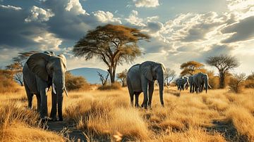 Piste des éléphants sous le ciel de nuages sur Vlindertuin Art