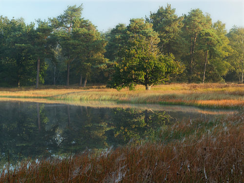Sonnenaufgang in Dwingelderveld – Drenthe (Niederlande)