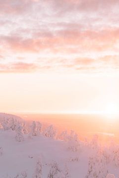 Zonsopgang en besneeuwde bomen | reisfotografie print | Lapland Finland