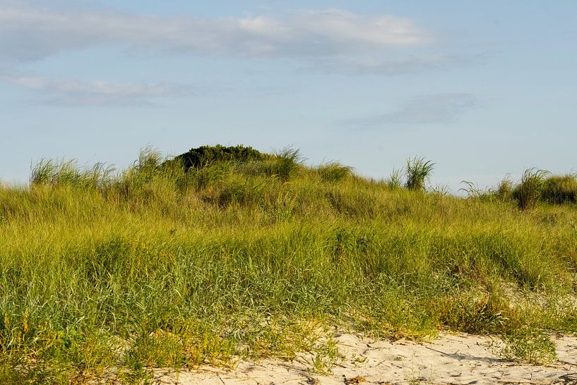 Strandduinen van Iris Holzer Richardson
