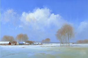Winterhimmel mit schlanken Bäumen