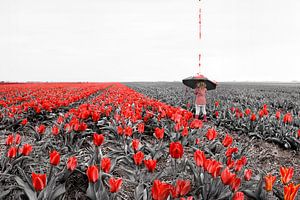 Magische Szene: Mädchen mit Regenschirm im farblosen Tulpenfeld erweckt Farben zum Leben