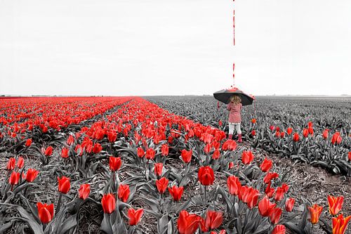 Magisch Tafereel: Meisje met Paraplu in Kleurloos Tulpenveld Brengt Kleuren tot Leven