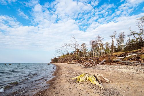 Strand aan de kust van de Oostzee bij Graal Müritz