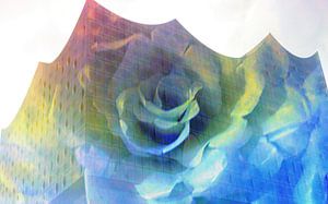 Elphi mit Rose