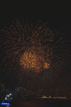 Nieuwjaar in Sydney: Een Feestelijke Start van het Jaar van Ken Tempelers