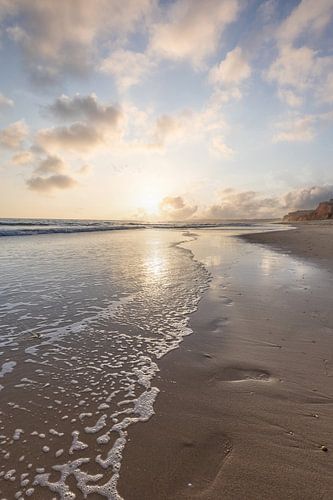 Sunset on the sandy beach Praia da Falésia. Cliffs Pink flowers near Albufeira, Portuga