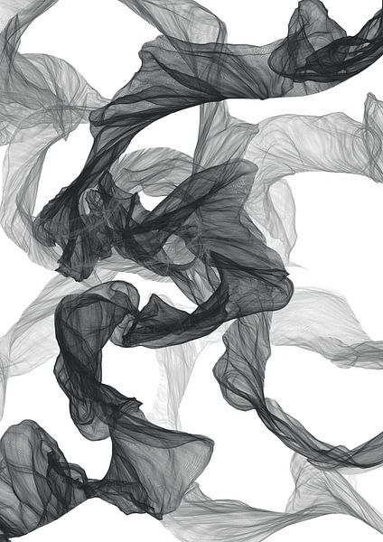 Noirs et gris par Denise de Rijk