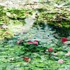 Waterlelies a la Monet van Paula van den Akker