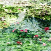 Waterlilies a la Monet