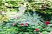 Waterlelies a la Monet van Paula van den Akker