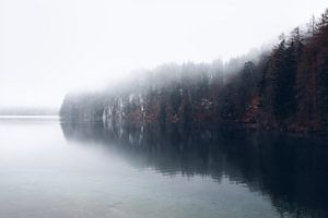 hiver à l'Alpsee Allemagne | minimaliste | nature sauvage | papier peint photo