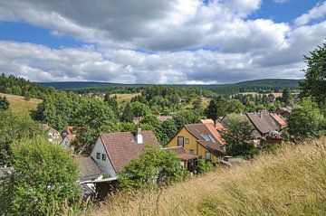 Vakantiewoning Altenau in de Harz van Peter Eckert