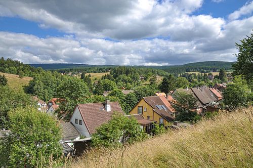 Holiday resort Altenau in the Harz Mountains
