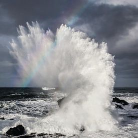 Storm met regenboog in Noord IJsland van Paul Roholl