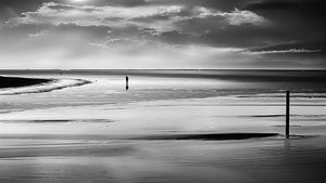 Mann im Wattenmeer-01