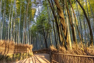 Indrukwekkend bamboebos van Arashiyama van Melanie Viola