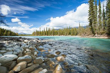 Athabasca river Jasper by Louise Poortvliet