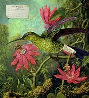 A Bird Painted