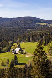 Schwarzwaldhaus im Hochschwarzwald von Werner Dieterich