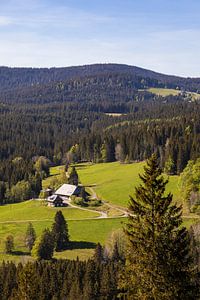 Maison de la Forêt-Noire en Haute Forêt-Noire sur Werner Dieterich