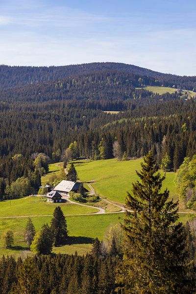 Maison de la Forêt-Noire en Haute Forêt-Noire par Werner Dieterich