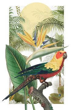 The Tropical Parrot van Marja van den Hurk