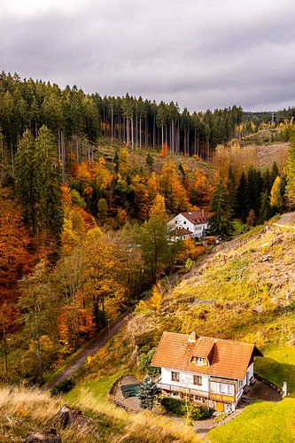 Randonnée automnale à travers le Spittergrund près de Tambach-Dietharz jusqu'à la cascade