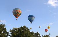 Ballons dans le soleil du soir.