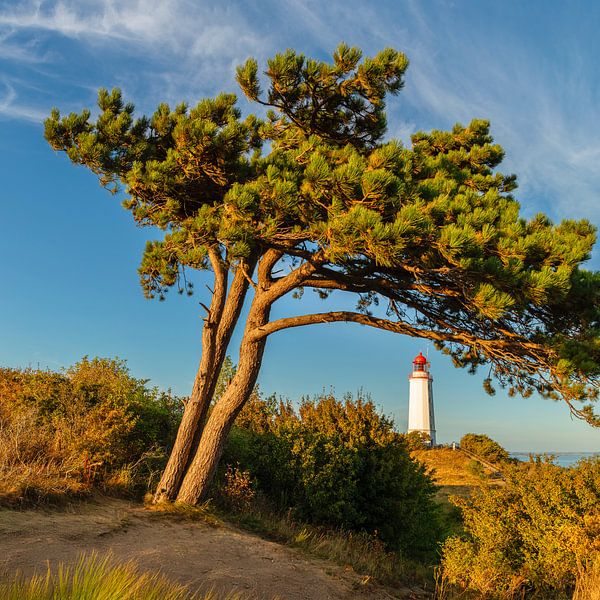 Vuurtoren Dornbusch aan de Hiddensee van Markus Lange