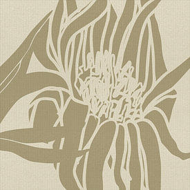 Abstract Minimalist Art profielfoto