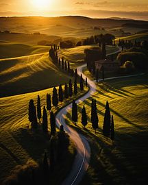 Tuscany in the sunset